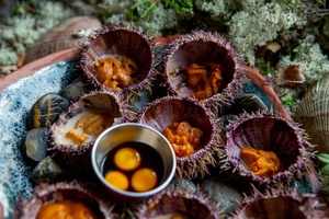 Гастрономический фестиваль «Вкус Арктики»