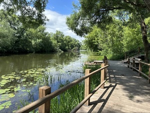 ЗАРАЙСК