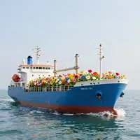 Cartoline con navi