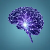 Musik Fokus