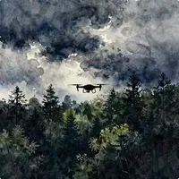 Seni drone