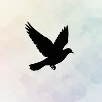 Minimalistické přebaly alb