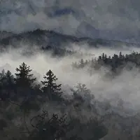 Arte di paesaggi nebbiosi