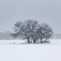 فن العواصف الثلجية