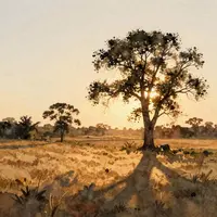 مناظر ساعت طلایی