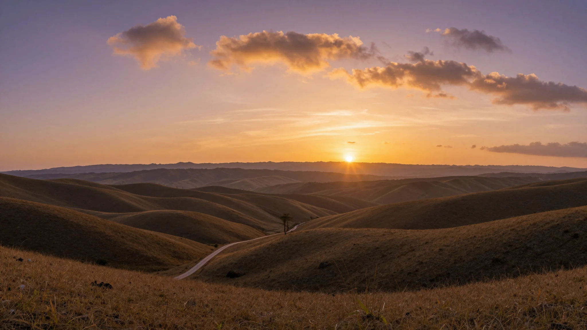 Echoes of the Horizon