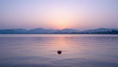 Serene Whispers of Dawn