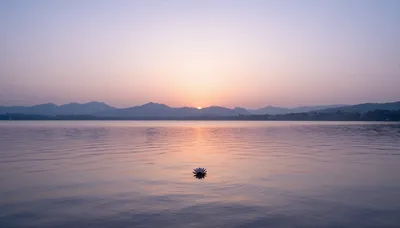 Serene Whispers of Dawn