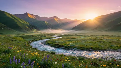Beautiful Boundless World