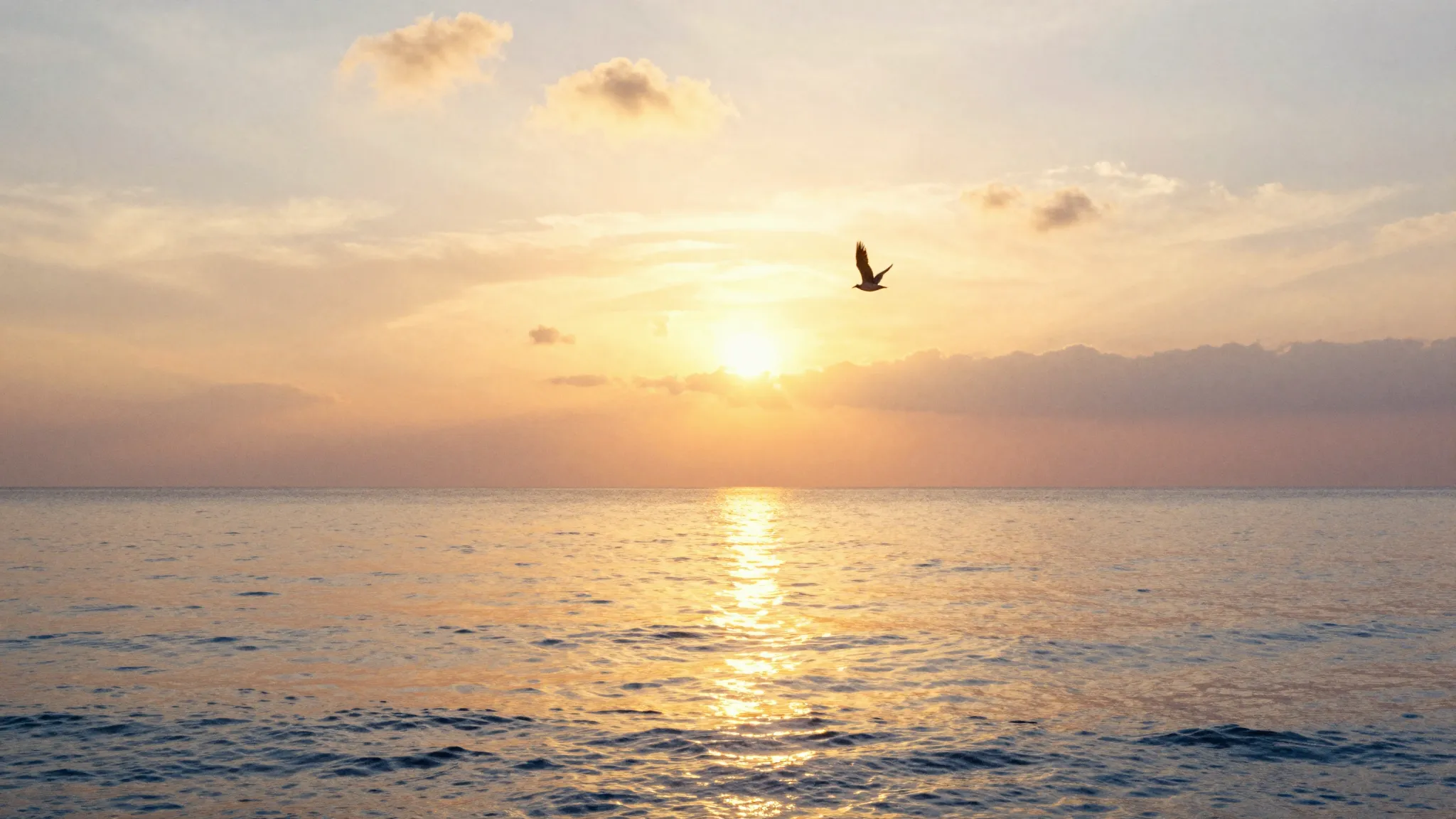 Watercolor style. A beautiful sunrise over a calm ocean, war...
