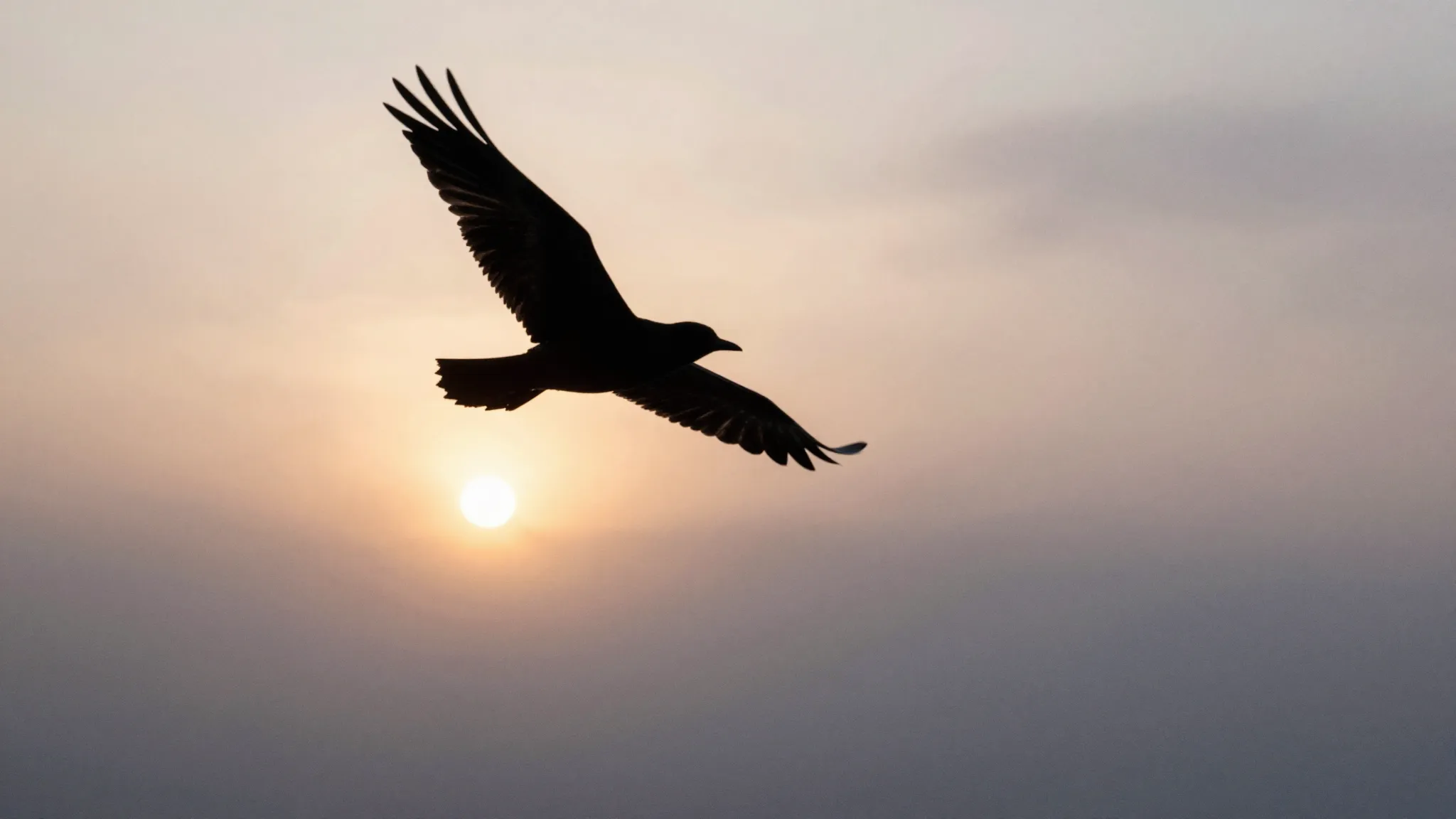 Watercolor style. Silhouette of a bird flying away into a fo...