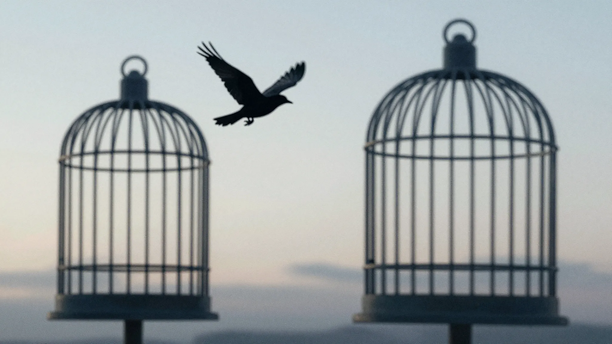 Watercolor style. A silhouette of a bird flying away from a ...