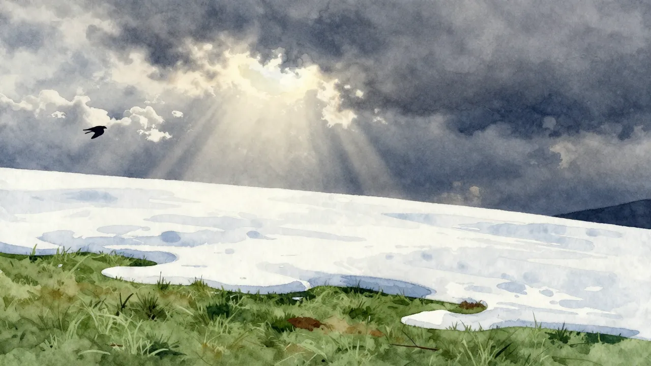 Watercolor style. A serene landscape with a melting snow, re...