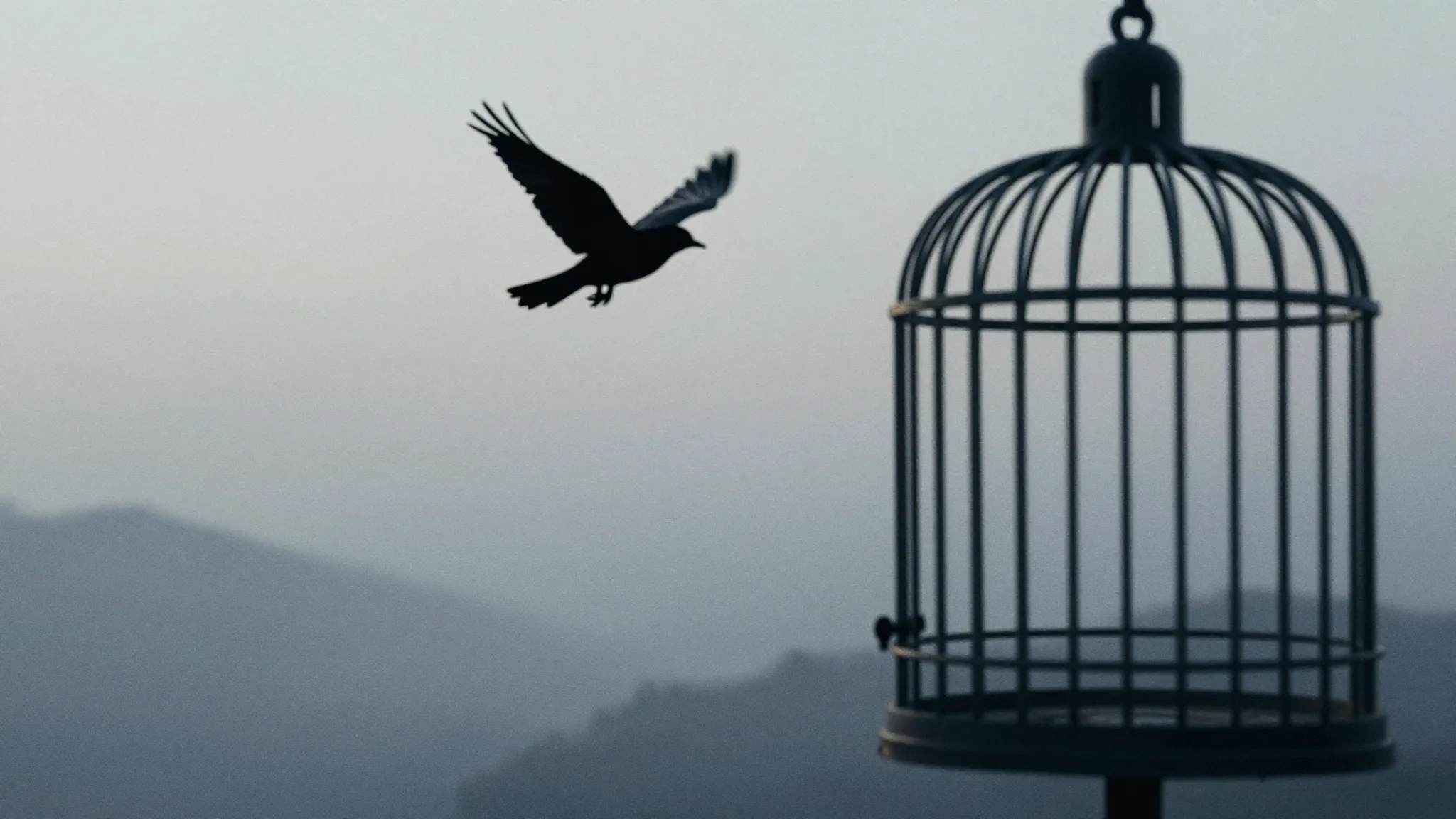 Watercolor style. A silhouette of a bird flying away from a ...