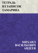 Тетрадь из записок Тамарина