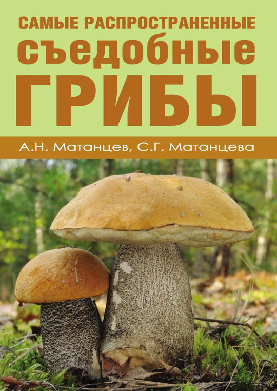 Грибы читать. Самые распространенные грибы. Название грибов,книга. Грибы съедобные и нет. Съедобные грибы надпись.