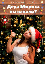 Деда Мороза вызывали?
