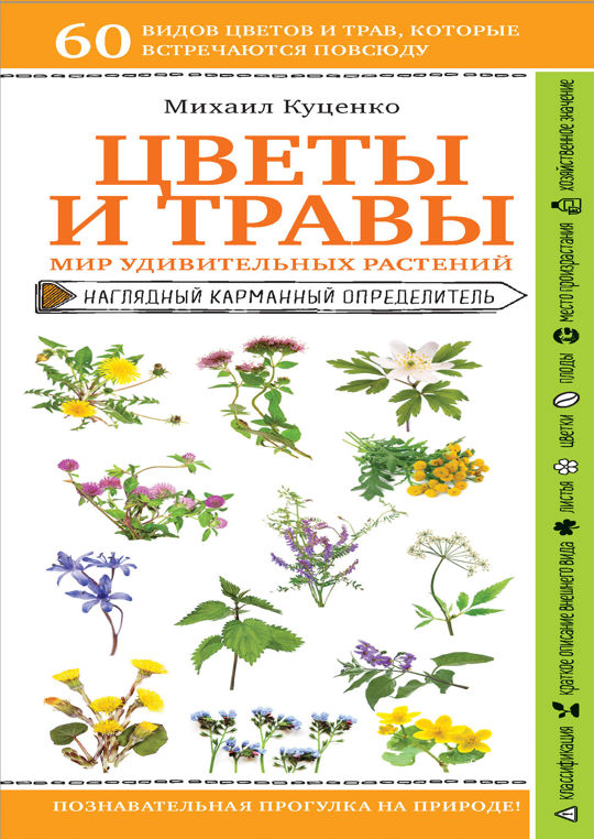 Цветок читать. Михаил Куценко книга животные.