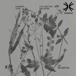 Сад против времени. В поисках рая для всех
