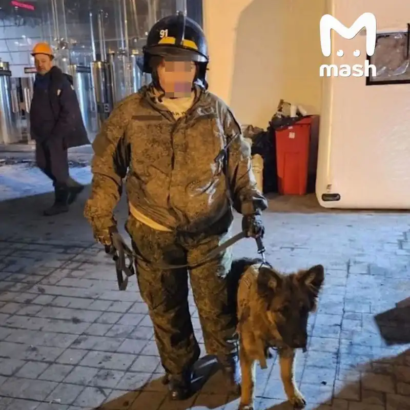 Во время работы спасателей после теракта в "Крокус сити холле" внутрь проникла экоактивистка под видом кинолога