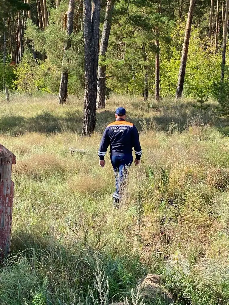 В Елабужском районе в лесу заблудились две пожилые женщины в возрасте около 70 лет