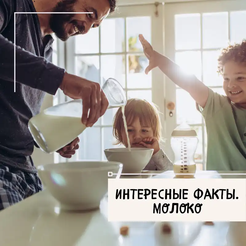 Более 700 млн тонн молока выпивают ежегодно в мире!