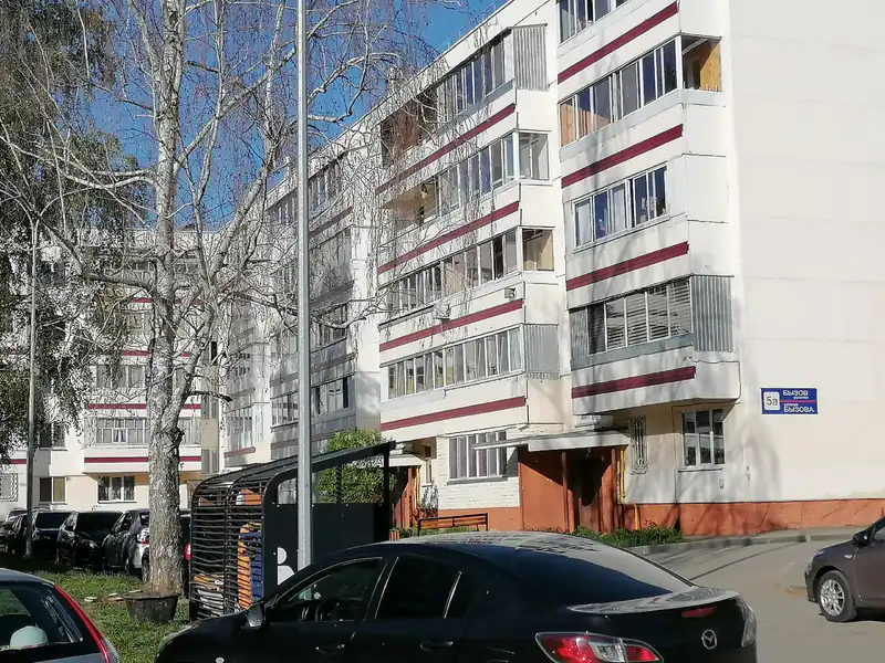 «Уберите этот сухостой, пока от ветра он кому-нибудь на голову не упал»