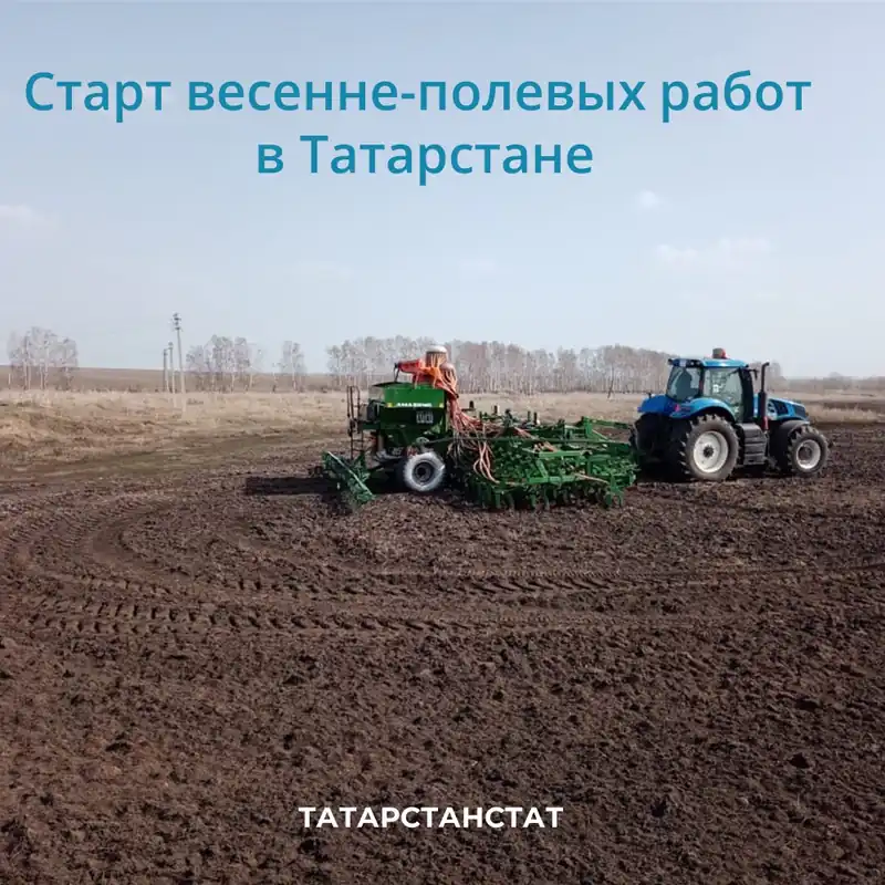 В прошлом году на полях Татарстана собрано 5,5 млн тонн зерна