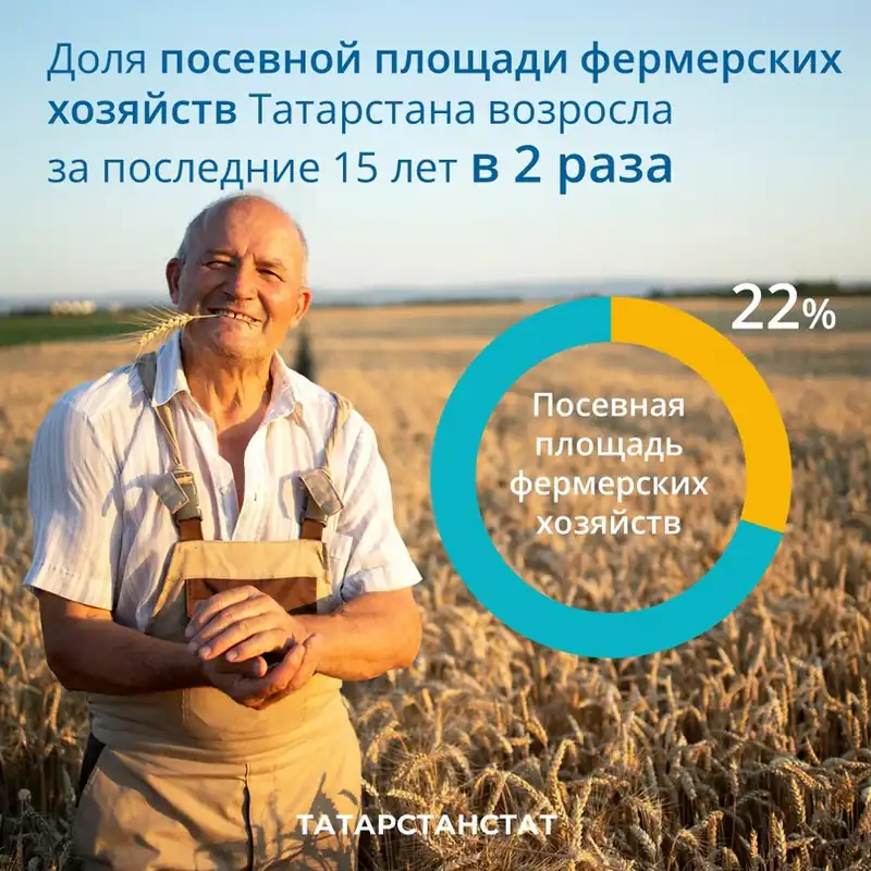 В Татарстане доля посевной площади фермерских хозяйств возросла за последние 15 лет до 22%