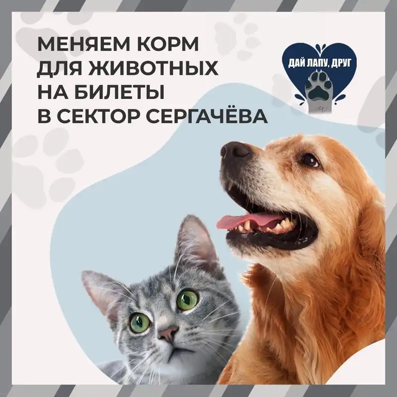 Поменяй корм на билет в «Сектор Сергачёва»