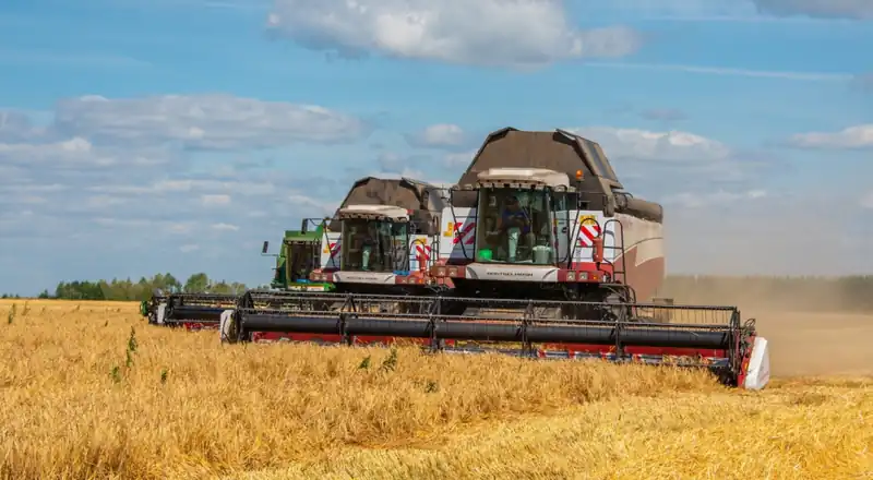 В Нижнекамском районе завершена уборка зерновых