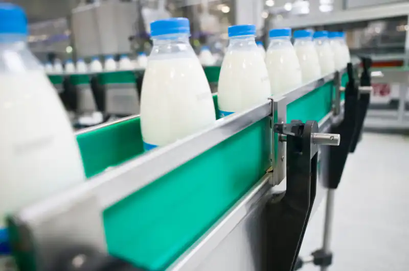 В Нижнекамске запустят завод молочных продуктов по турецким рецептам