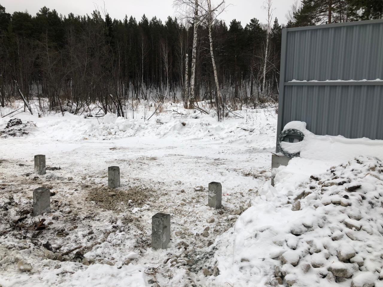 Линии оголовков бетонных свай под дорогу, уходящие к лесу; вокруг снег и березы.