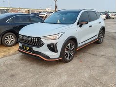 哈弗赤兔 2021款 激擎版 1.5T 铂金兔