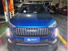 哈弗赤兔 2021款 激擎版 1.5T 铂金兔