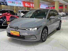 高尔夫 2021款 280TSI DSG Pro