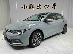 高尔夫 2021款 280TSI DSG Pro