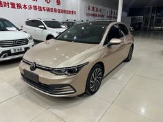 高尔夫 2021款 280TSI DSG Pro 首发版