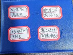 高尔夫 2023款 改款 280TSI DSG Pro