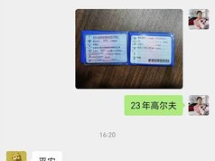 高尔夫 2023款 改款 280TSI DSG Pro