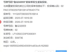 高尔夫 2023款 改款 280TSI DSG Pro