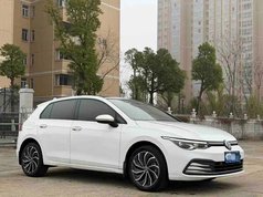 高尔夫 2021款 280TSI DSG 30周年纪念版