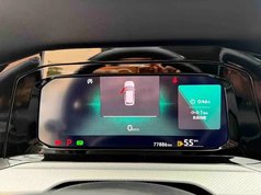 高尔夫 2021款 280TSI DSG 30周年纪念版