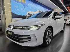 高尔夫 2025款 300TSI Pro