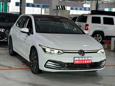 高尔夫 2023款 280TSI DSG Pro