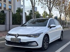 高尔夫 2021款 280TSI DSG 30周年纪念版