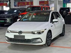 高尔夫 2021款 280TSI DSG Pro