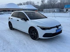 高尔夫 2021款 280TSI DSG Pro