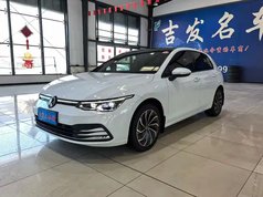 高尔夫 2023款 改款 280TSI DSG Pro