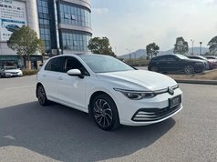 高尔夫 2021款 280TSI DSG 30周年纪念版